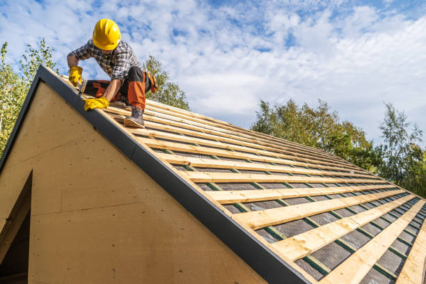 Best Roof Maintenance Services  in Park Center, CO